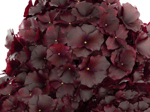Small minimalist flower bouquet hydrangea vase 358 3D 模型