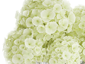 Small minimalist flower bouquet hydrangea vase 359 Modelo 3D