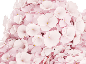 Small bouquet of pink flowers hydrangea modern vase 360 Modello 3D