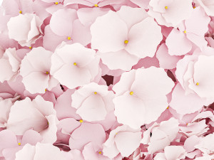Small bouquet of pink flowers hydrangea modern vase 360 Modello 3D