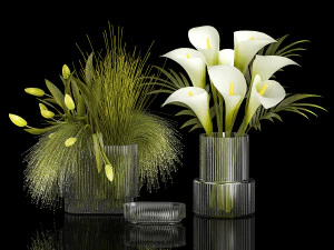 Conjunto de buqu&ecirc;s de flores verdes vaso tulipa Calla 361 Modelo 3D