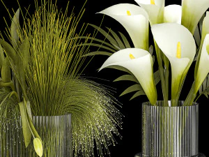 Conjunto de buqu&ecirc;s de flores verdes vaso tulipa Calla 361 Modelo 3D