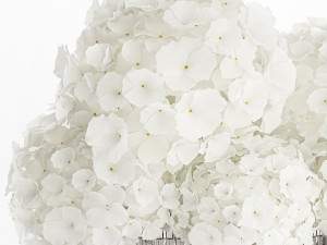 Small bouquet of white hydrangea flowers in a glass vase 362 Modelo 3D