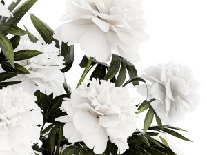 Solemn bouquet of white peony flowers in a vase 363 3D Model
