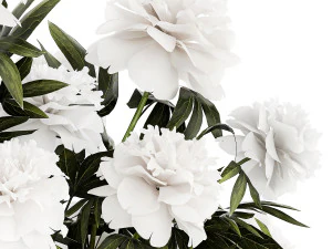 Solemn bouquet of white peony flowers in a vase 363 3D Model