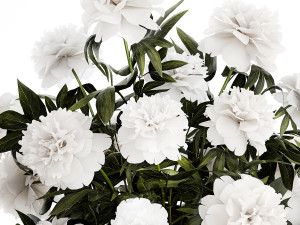 Solemn bouquet of white peony flowers in a vase 363 3D Model