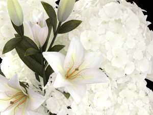 Solemn bouquet of white flowers hydrangea lilies 364 3D Model