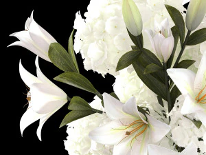 Solemn bouquet of white flowers hydrangea lilies 364 3D Model
