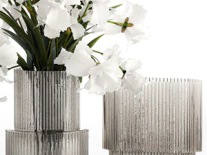 Realistic bouquet of white Iris flowers in a glass vase 365 3D Model