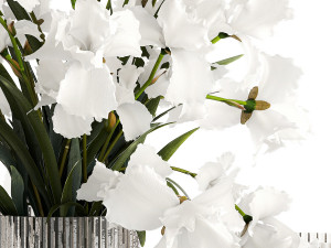 Realistic bouquet of white Iris flowers in a glass vase 365 3D 模型