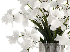 Realistic bouquet of white Iris flowers in a glass vase 365 3D 模型