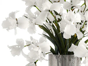 Realistic bouquet of white Iris flowers in a glass vase 365 3D Model