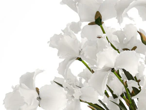 Realistic bouquet of white Iris flowers in a glass vase 365 3D Model