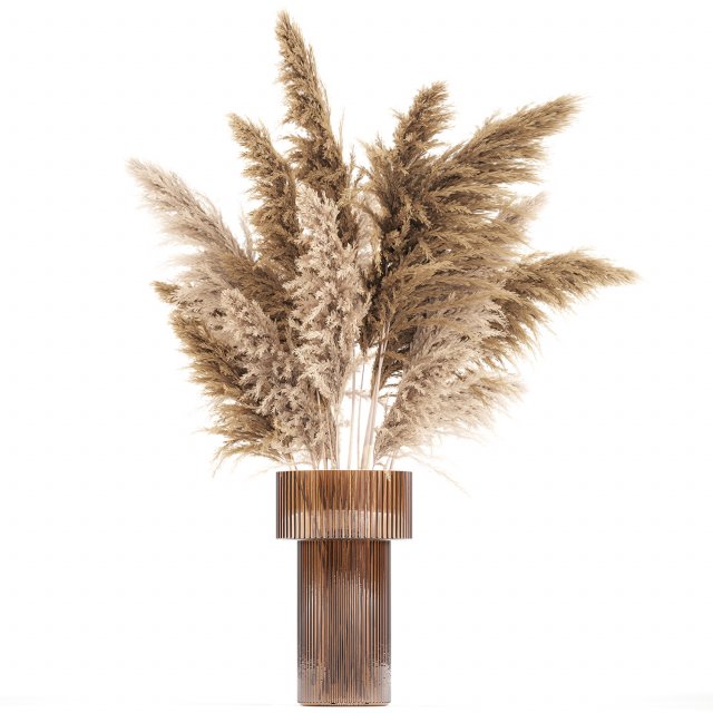 Bouquet of dried flowers in a vase with cortaderia pampas 366 3D Модель .c4d .max .obj .3ds .fbx .stl .blend 