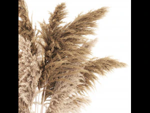Buqu&ecirc; de flores secas em vaso com cortaderia pampas 366 Modelo 3D