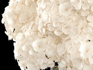 Solemn bouquet of white hydrangea flowers in a vase 367 3D Model