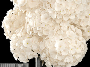 Solemn bouquet of white hydrangea flowers in a vase 367 3D Model