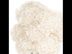 Solemn bouquet of white flowers in a vase with hydrangea 369 3D Модель
