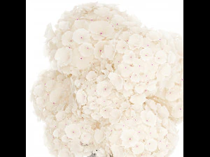 Solemn bouquet of white flowers in a vase with hydrangea 369 3D Model
