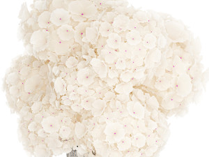 Solemn bouquet of white flowers in a vase with hydrangea 369 3D Модель