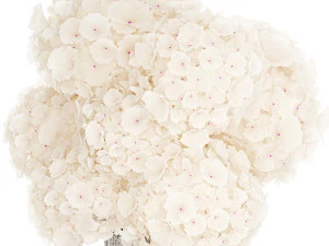 Solemn bouquet of white flowers in a vase with hydrangea 369 3D Model
