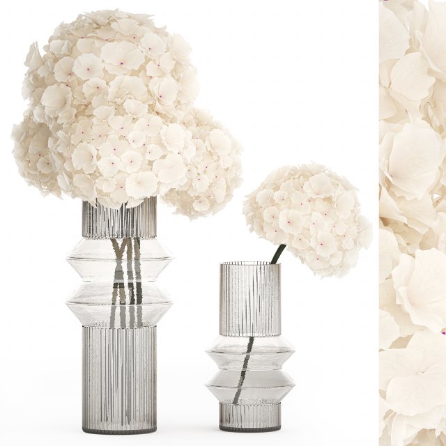 Solemn bouquet of white flowers in a vase with hydrangea 370 Modèle 3D .c4d .max .obj .3ds .fbx .stl .blend 