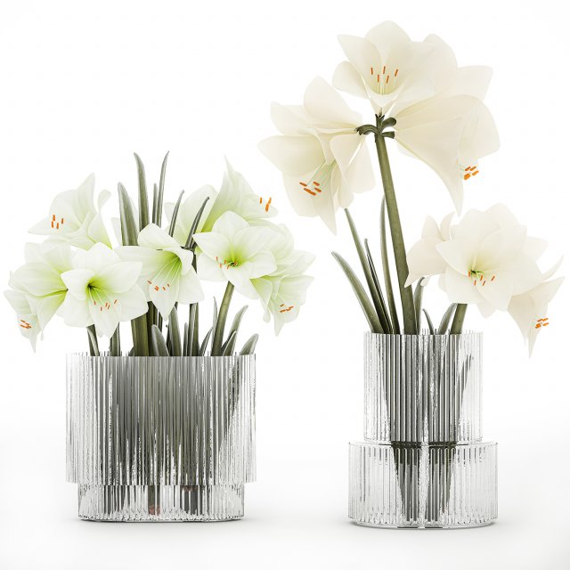 Set Of Bouquets Of White Flowers Hippeastrum Vase 372 3D Модель .c4d .max .obj .3ds .fbx .stl .blend 