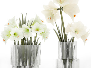 Set Of Bouquets Of White Flowers Hippeastrum Vase 372 3D Model