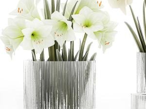 Set Of Bouquets Of White Flowers Hippeastrum Vase 372 3D Модель