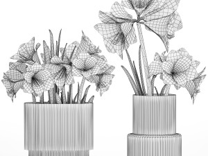 Set Of Bouquets Of White Flowers Hippeastrum Vase 372 3D Модель