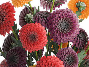 Set of bouquets of flowers chrysanthemum Dahlias vase 373 3D 모델