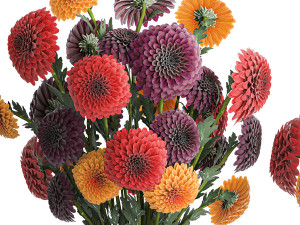 Set of bouquets of flowers chrysanthemum Dahlias vase 373 3D 모델