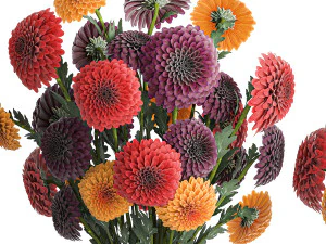 Set of bouquets of flowers chrysanthemum Dahlias vase 373 3D Model