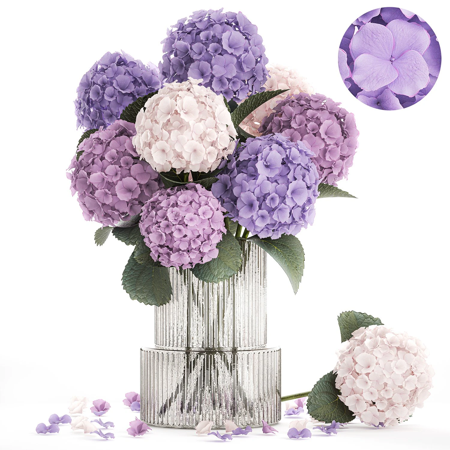Beautiful bouquets of hydrangea flowers in a glass vase 374 3D Model .c4d .max .obj .3ds .fbx .stl .blend 