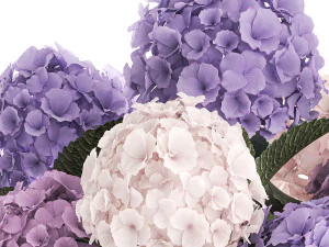 Beautiful bouquets of hydrangea flowers in a glass vase 374 3D Model