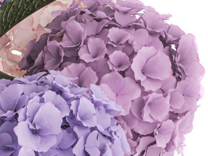 Beautiful bouquets of hydrangea flowers in a glass vase 374 3D 모델