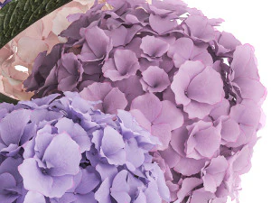 Beautiful bouquets of hydrangea flowers in a glass vase 374 3D Model