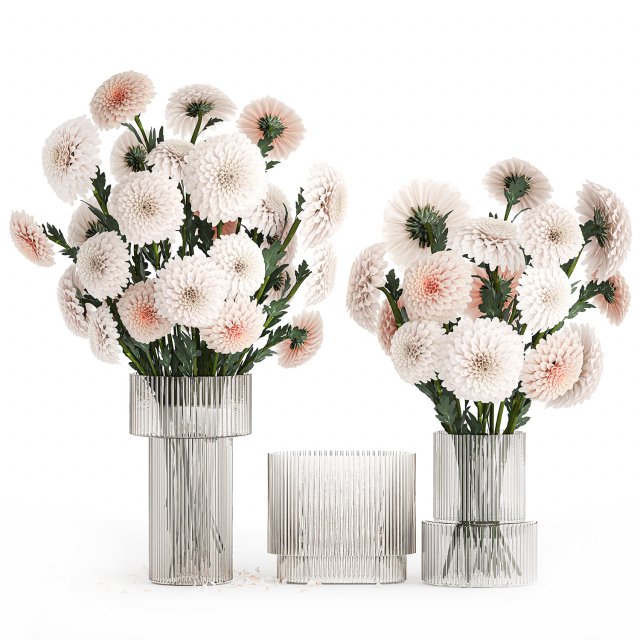 Set of white bouquets of flowers Chrysanthemum Dahlias 375 Model 3D .c4d .max .obj .3ds .fbx .stl .blend 