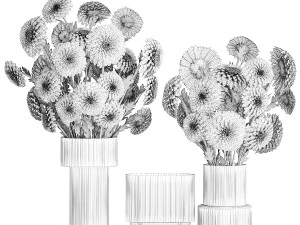 白い花束のセット 菊 ダリア 375 3Dモデル
