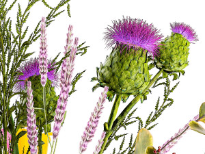 Bouquet of flowers thistle branches iris lavender barberry 376 3D Model