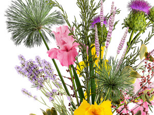 Bouquet of flowers thistle branches iris lavender barberry 376 3D Model