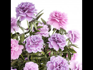 Beautiful bouquet of purple Paeonia peony flowers 380 Modelo 3D