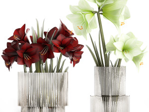 Realistic bouquets of white red Hippeastrum flowers 383 3D Model