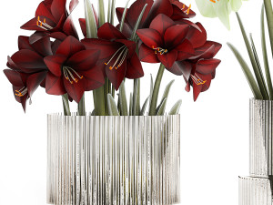 Realistic bouquets of white red Hippeastrum flowers 383 3D Model