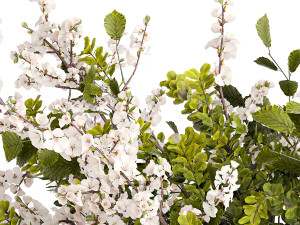 Bouquet of branches with leaves sakura flowers cherry 384 Modelo 3D