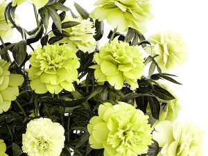 Realistic bouquet of green peony flowers in a vase 386 Model 3D