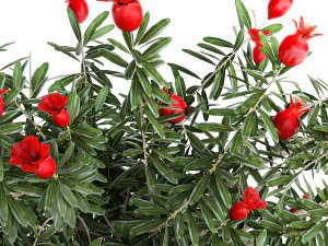 Bouquet of flowers and branches of blooming pomegranate 387 3D Model