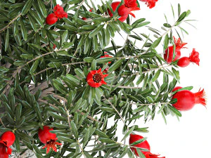 Bouquet of flowers and branches of blooming pomegranate 387 3D Model