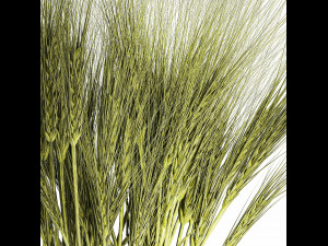 Bouquet of wildflowers from green ears of wheat 397 Modelo 3D