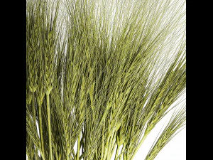 Bouquet of wildflowers from green ears of wheat 397 3D Model